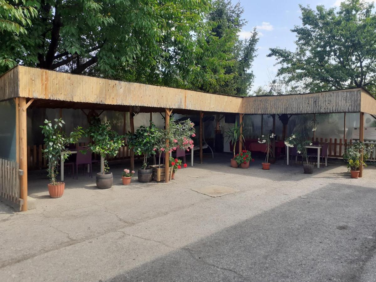 Guest House Edelvais Dve Mogili Bagian luar foto