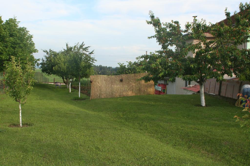Guest House Edelvais Dve Mogili Bagian luar foto